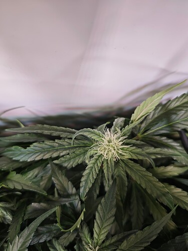 MVIMG_20251028_175625