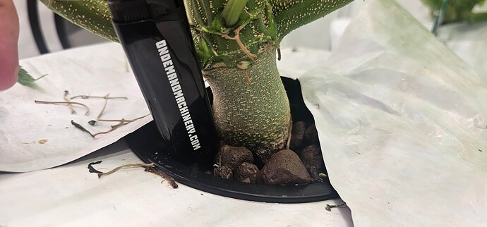 Growreport Bild 15