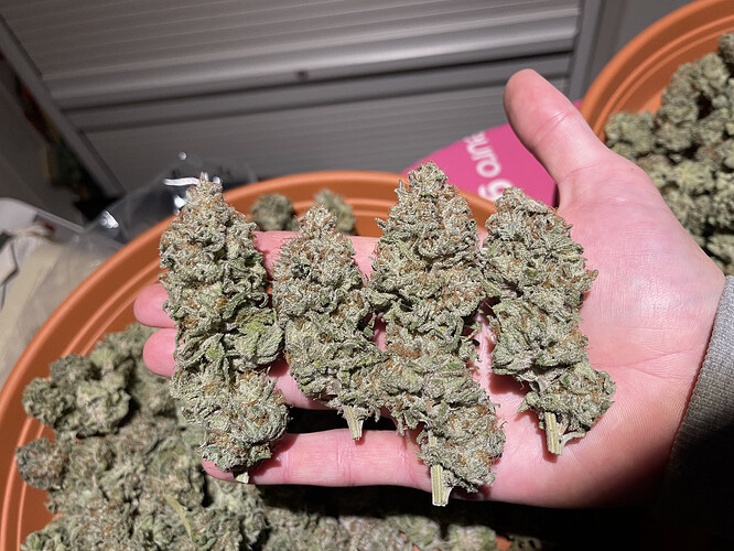 Growreport Bild 10