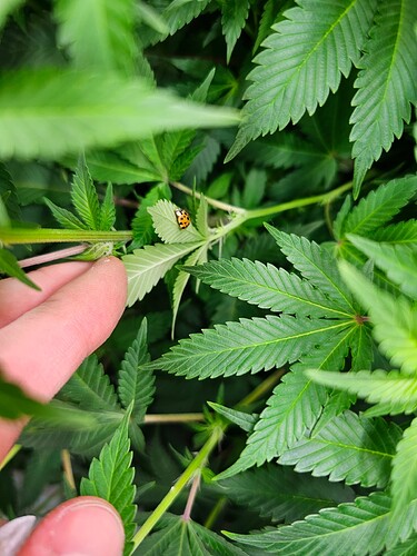 Growreport Bild 1
