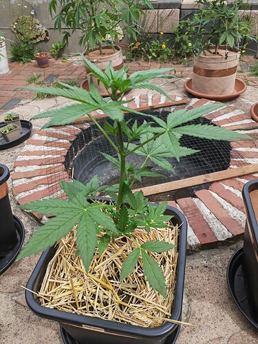 Growreport Bild 14