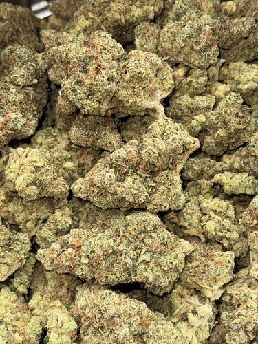 Growreport Bild 71