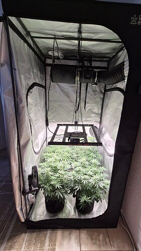 Growreport Bild 3