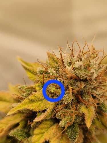 Growreport Bild 10