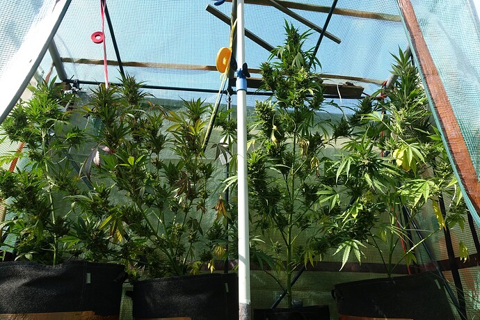 Growreport Bild 9