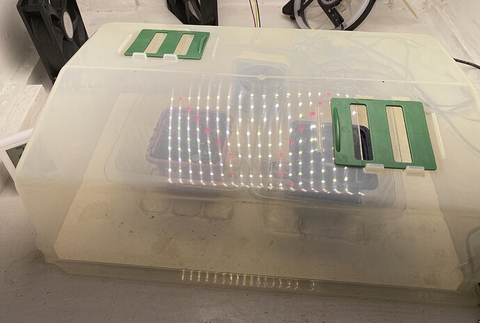 Growreport Bild 4