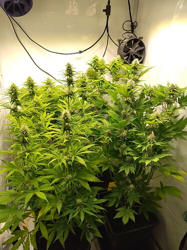Growreport Bild 14