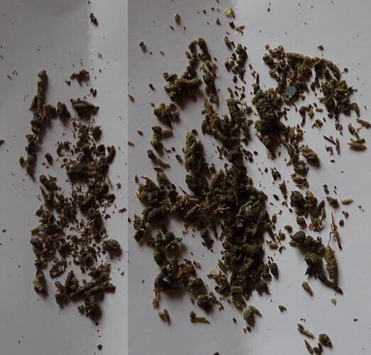Growreport Bild 3