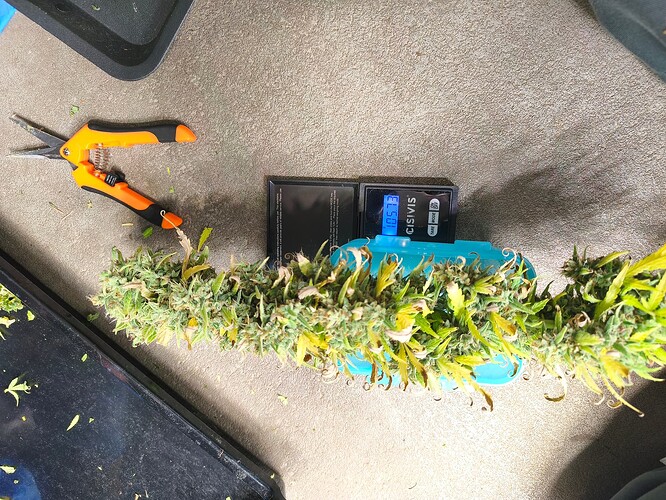 Growreport Bild 2
