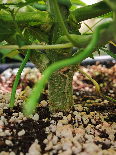 Growreport Bild 17