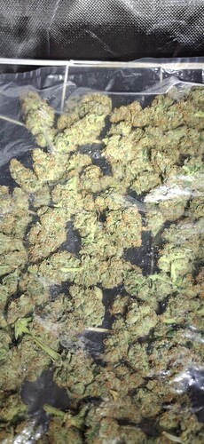 Growreport Bild 2