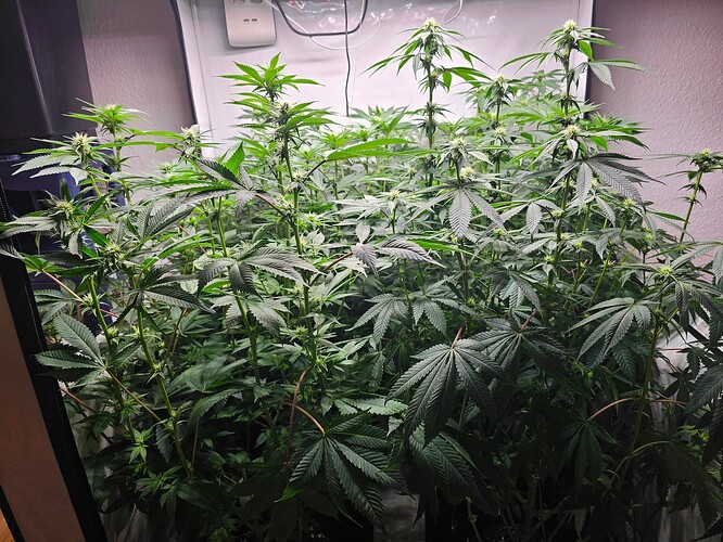 Growreport Bild 5