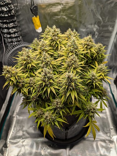 Growreport Bild 8