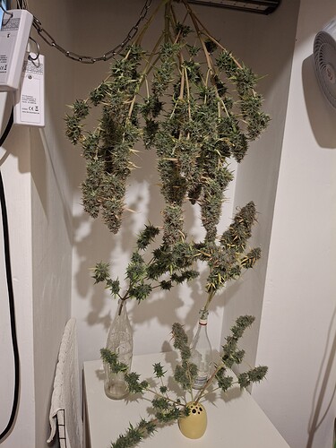 Growreport Bild 7