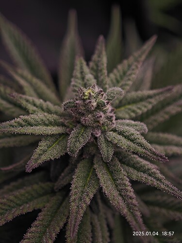 Growreport Bild 22