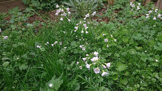 Growreport Bild 7