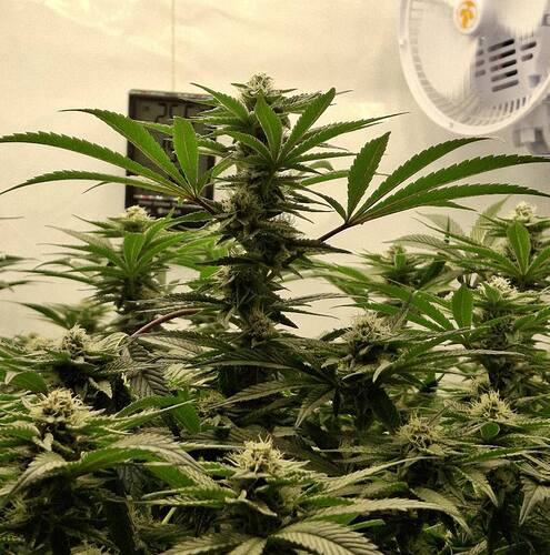 475831996_122166059570293599_8483045639871068669_n