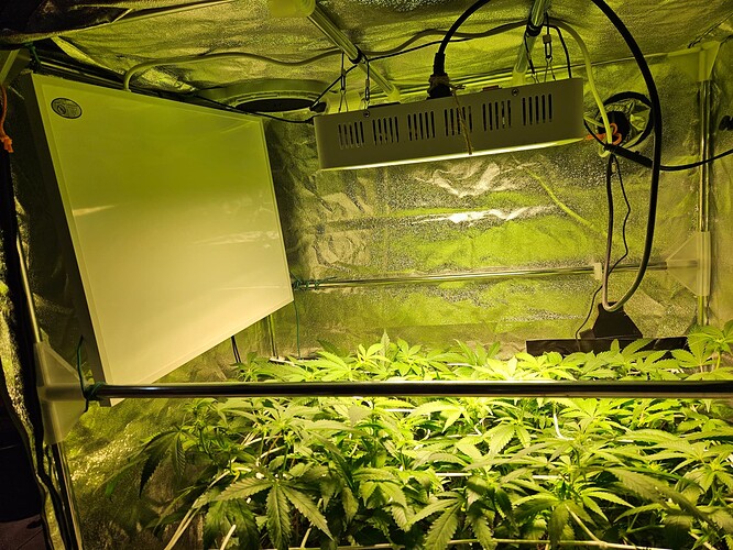 Growreport Bild 8