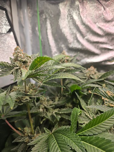 Growreport Bild 11