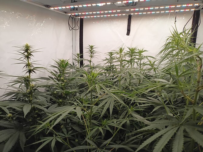 Growreport Bild 21