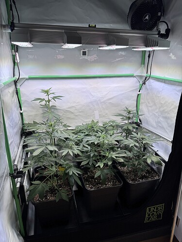 Growreport Bild 20