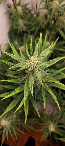 Growreport Bild 5