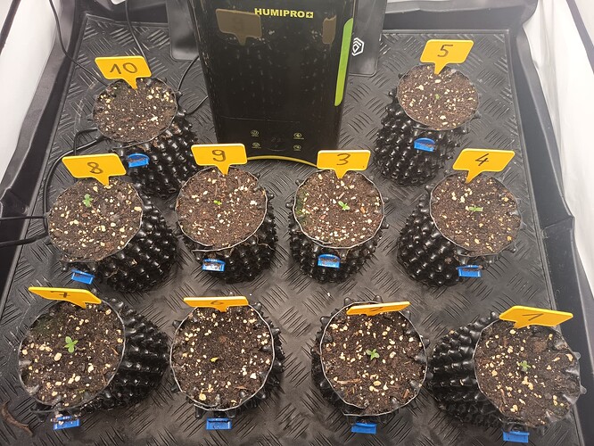 Growreport Bild 21