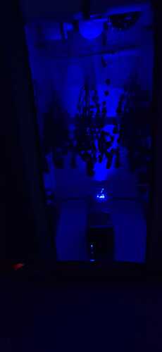 Growreport Bild 51