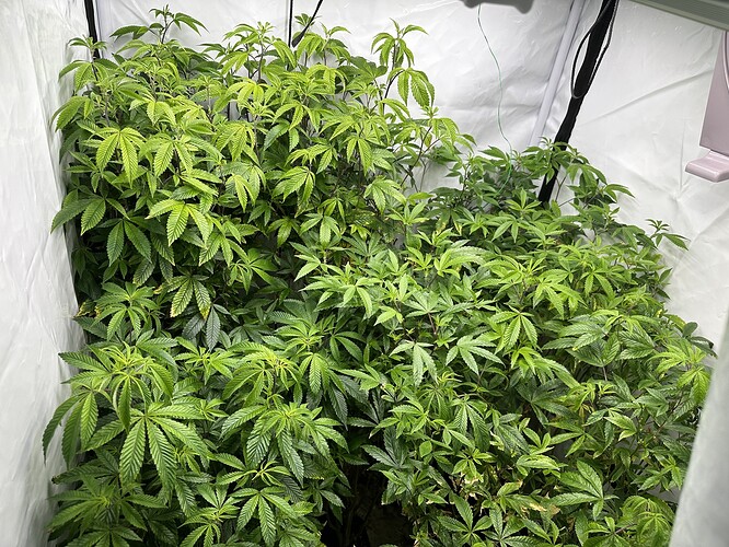 Growreport Bild 5