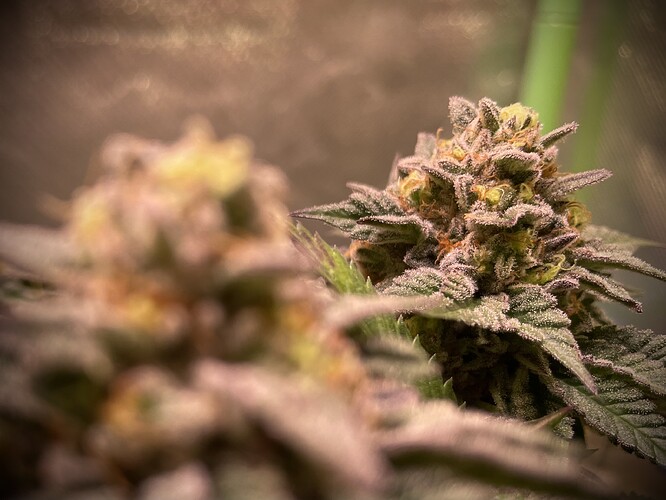 Growreport Bild 10