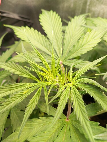 Growreport Bild 17