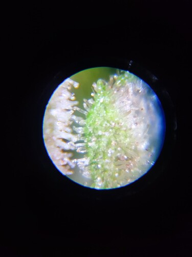 Growreport Bild 45