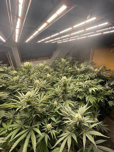 Growreport Bild 8
