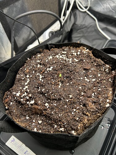 Growreport Bild 10