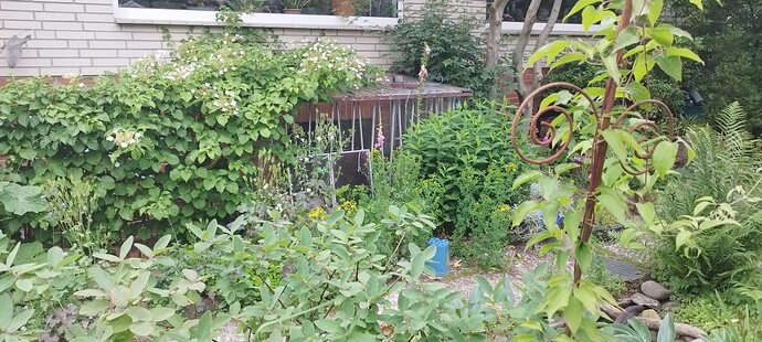 Growreport Bild 18