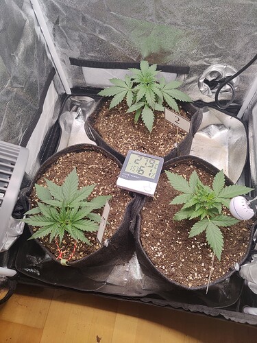 Growreport Bild 13