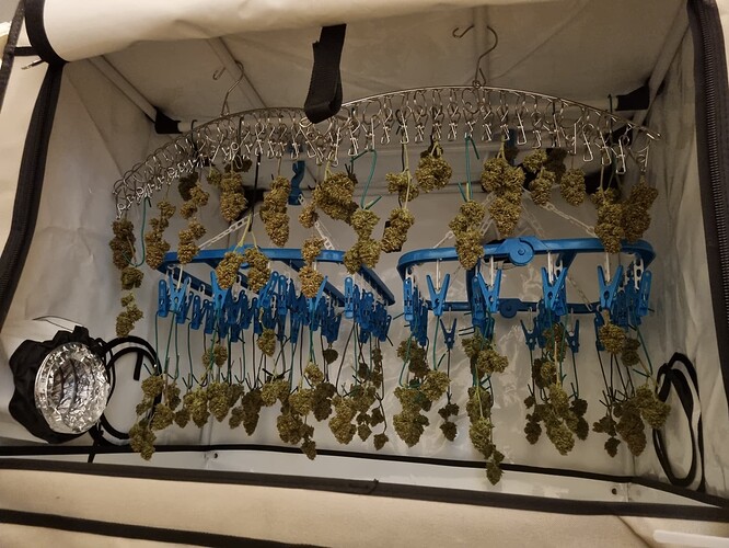 Growreport Bild 11