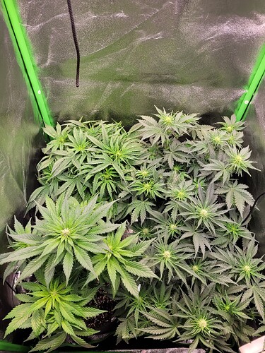 Growreport Bild 15