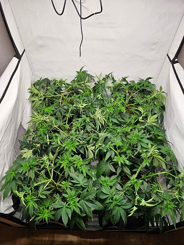 Growreport Bild 2