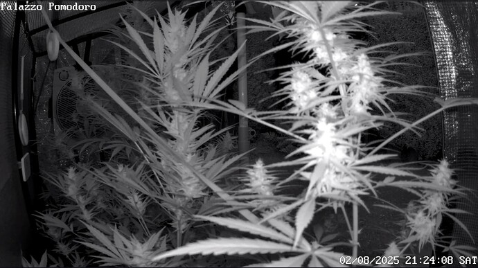 Growreport Bild 3