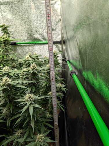 Growreport Bild 12