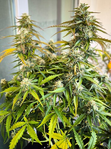 Growreport Bild 17