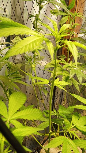 Growreport Bild 4