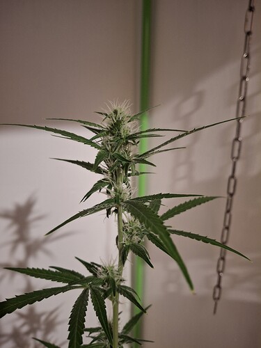 Growreport Bild 190