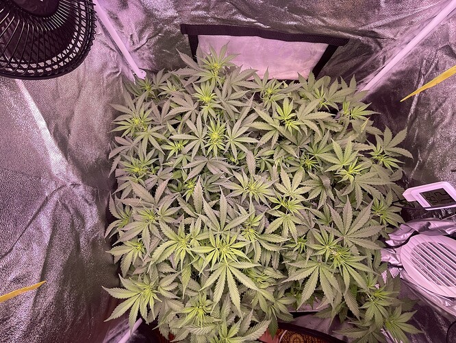 Growreport Bild 6