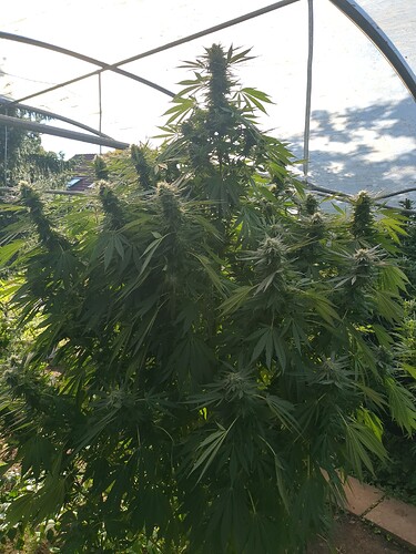 2025-10-02-16-12-28-740