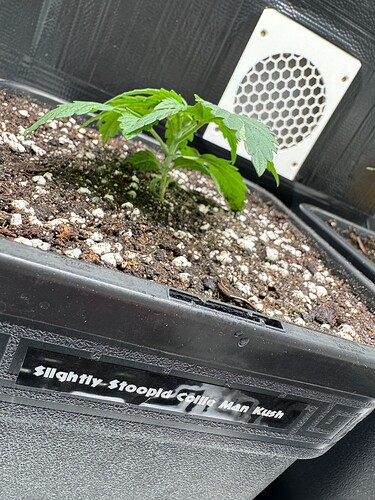 Growreport Bild 6