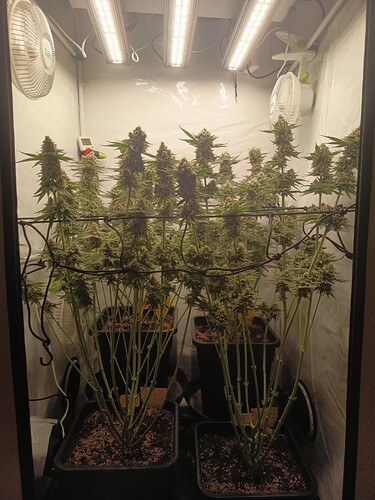 Growreport Bild 22
