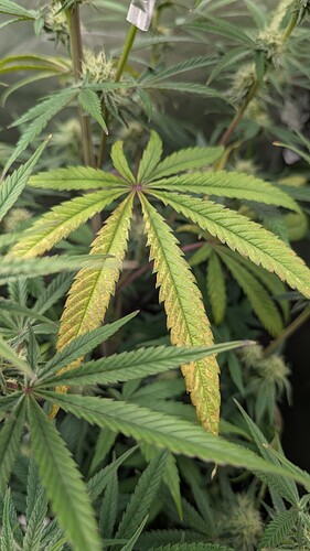 Growreport Bild 2