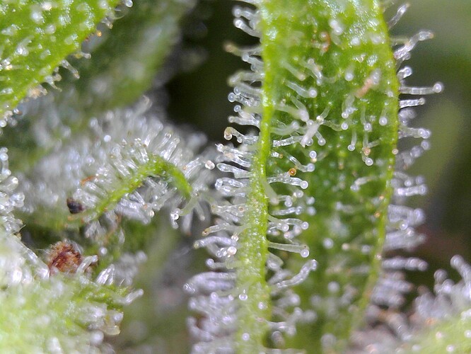 WIN_20240806_22_45_34_Pro